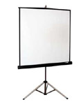 Large Tripod Screen Hire - Perth